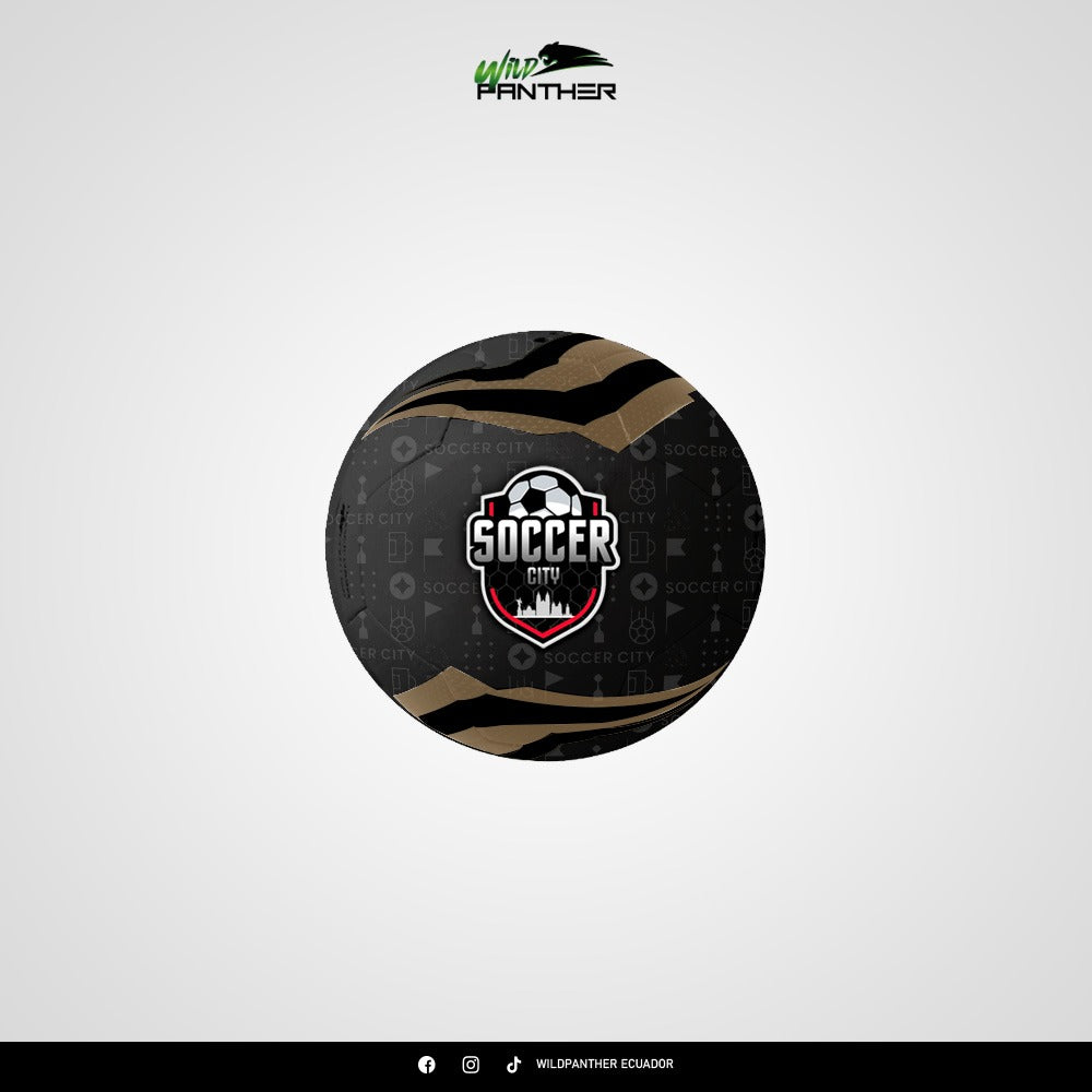 BALON PERSONALIZADO  EDICION ESCUELAS DE FUTBOL N 5. N 4