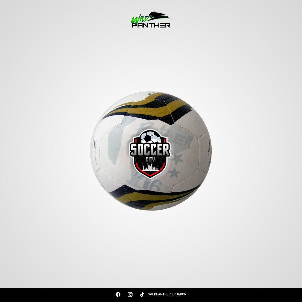 BALON PERSONALIZADO  EDICION ESCUELAS DE FUTBOL N 5. N 4