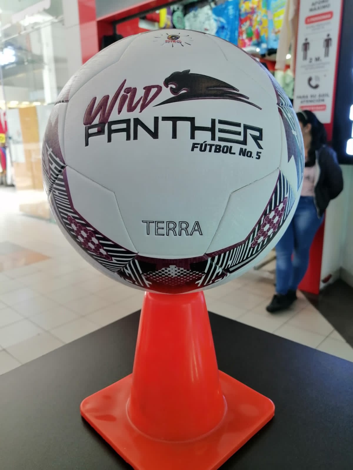 BALÓN TERRA