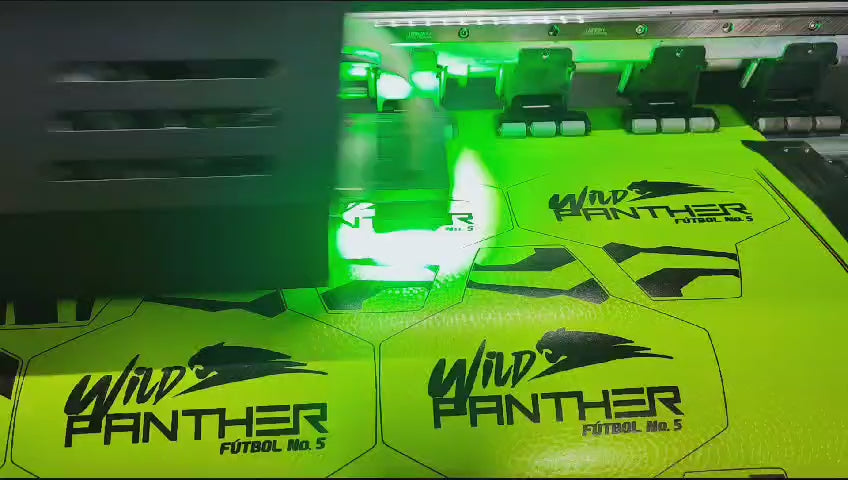 BALON PERSONALIZADO  EDICION ESCUELAS DE FUTBOL N 5. N 4