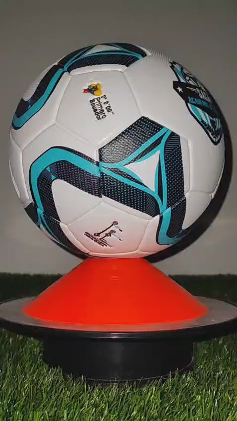 BALON PERSONALIZADO  EDICION ESCUELAS DE FUTBOL N 5. N 4