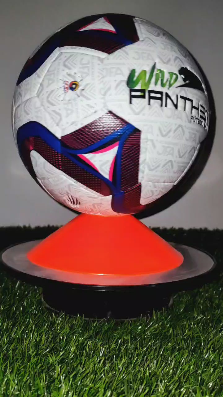 BALON PERSONALIZADO  EDICION ESCUELAS DE FUTBOL N 5. N 4